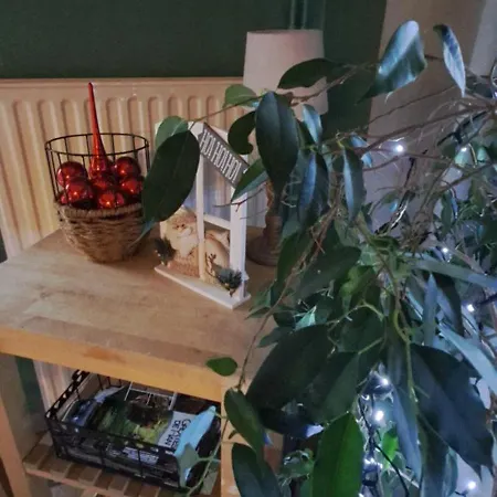 Le Hourlay Дюрбюи